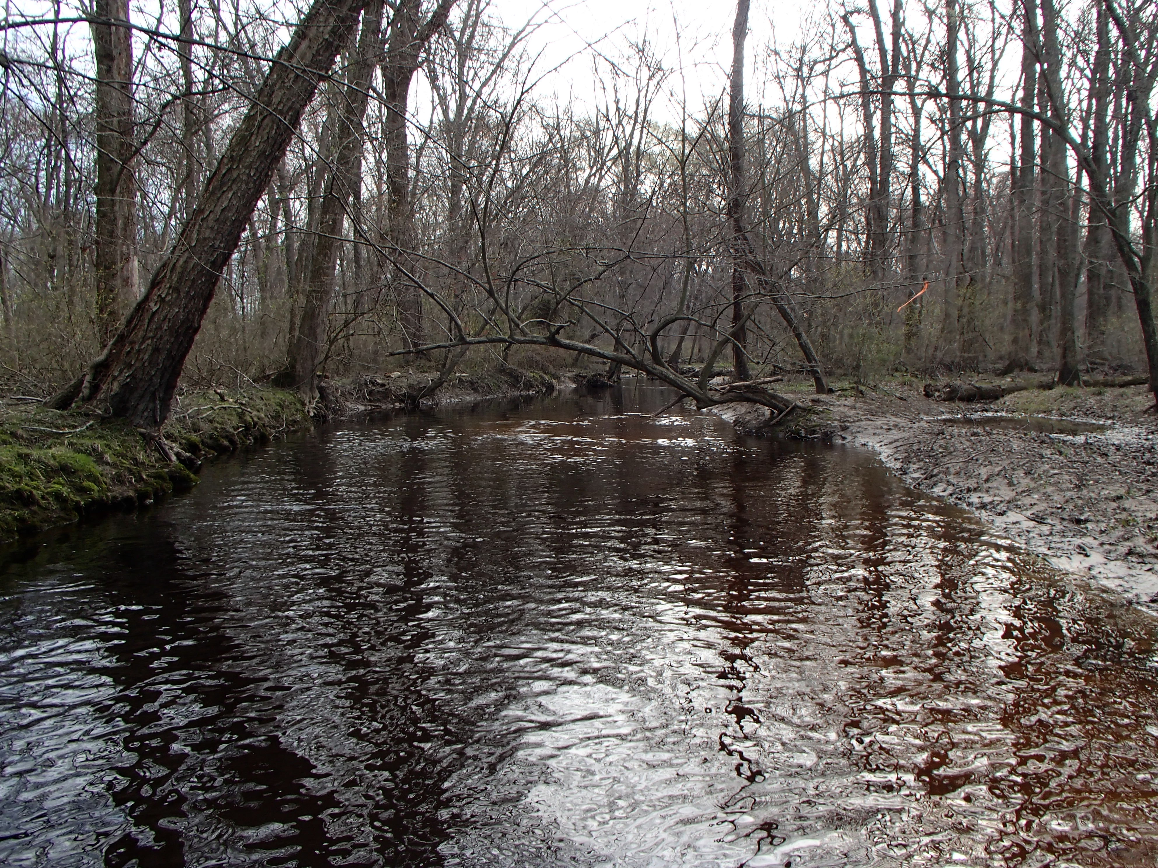 Field photo showing stream conditions at site UPCR-208-S-2016_Midpoint looking downstream